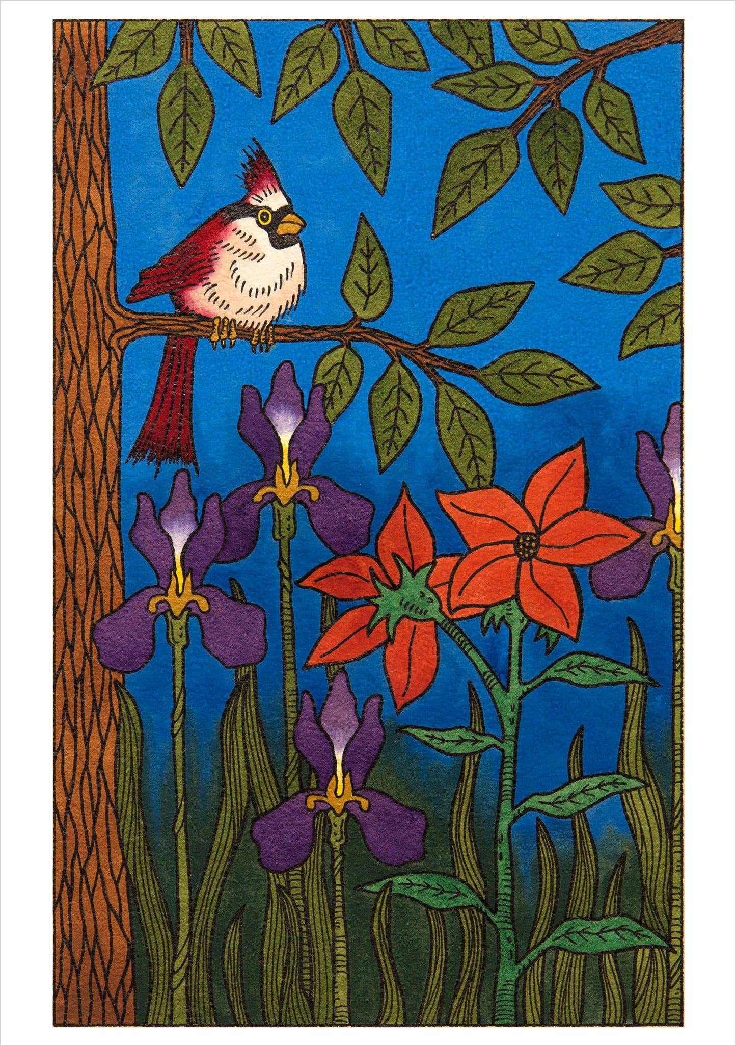 CJ Hurley: Birds Boxed Cards
