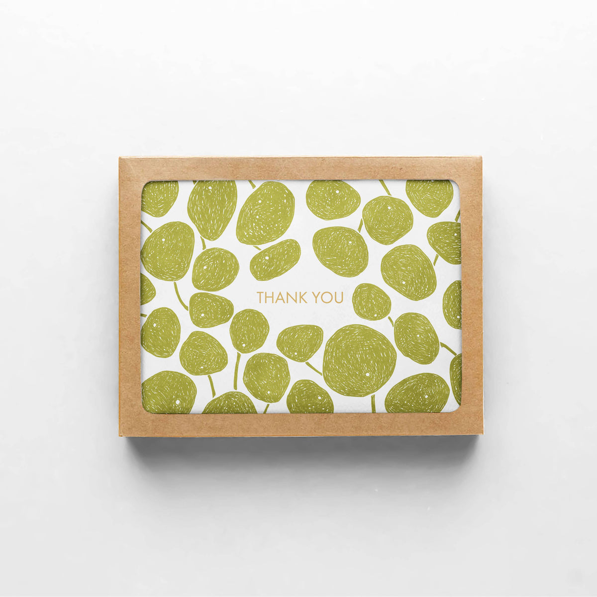 Pilea Thank You Boxed Set of Cards