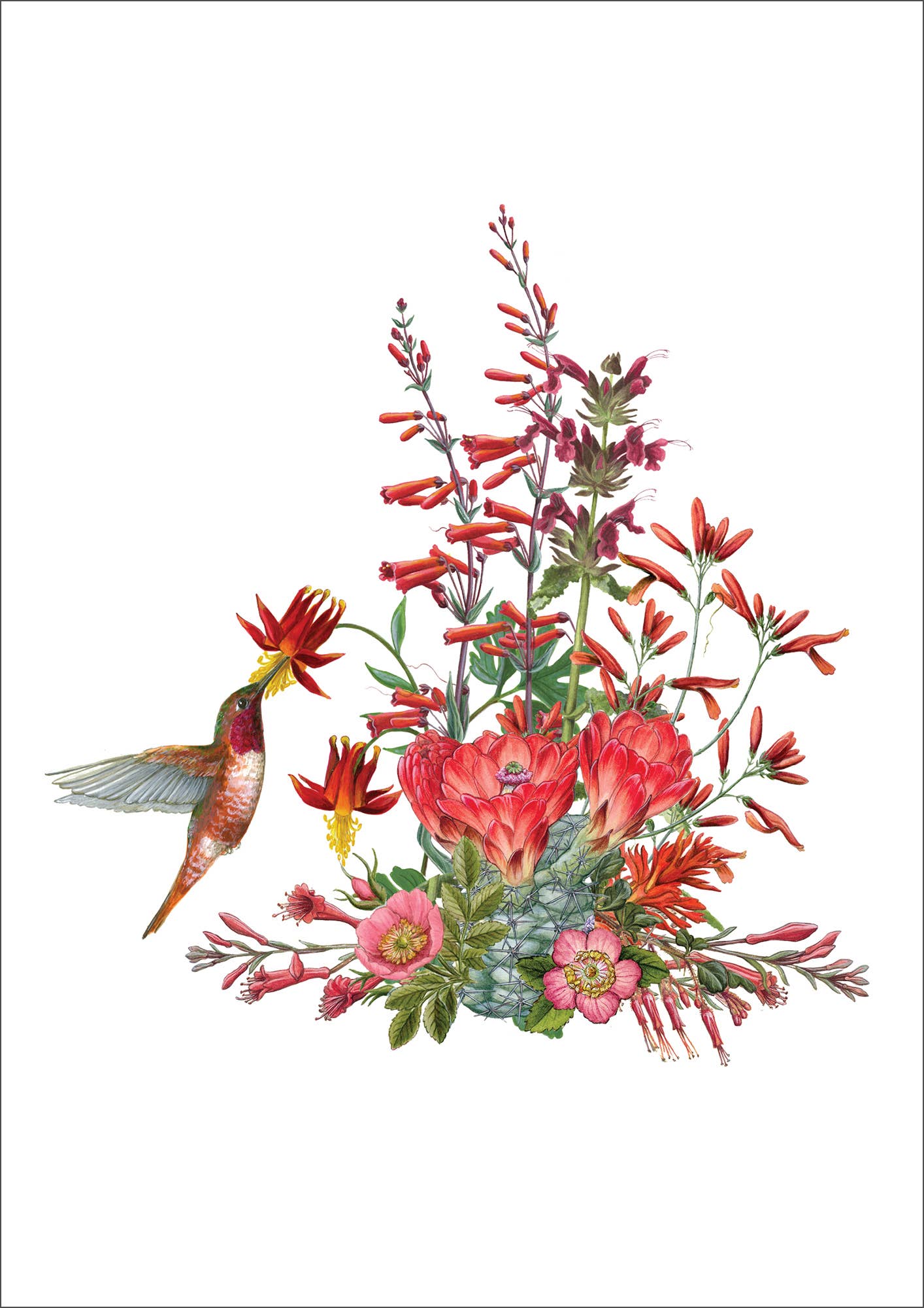 Erin E. Hunter: California Wildflowers in Red Small Boxed Cards