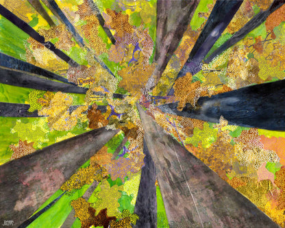 Canopy Greeting Card