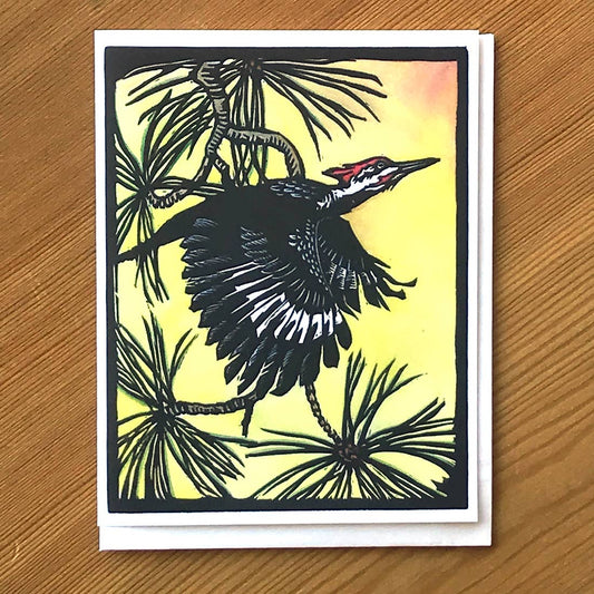 Pileated Woodpecker - Focus Card