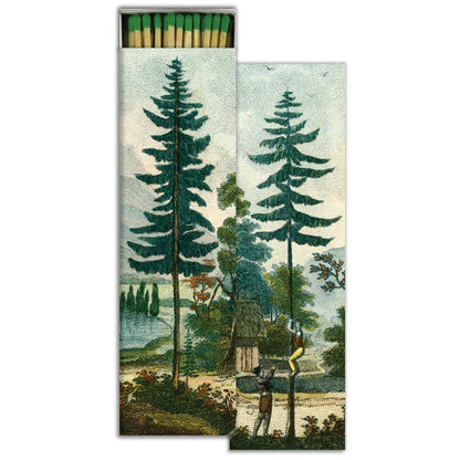 Tall Pines Long Matches