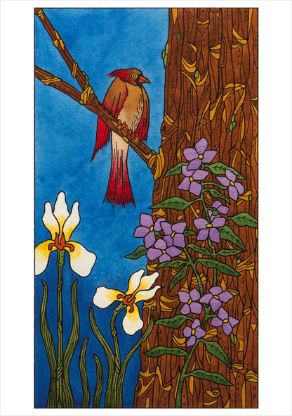 CJ Hurley: Birds Boxed Cards
