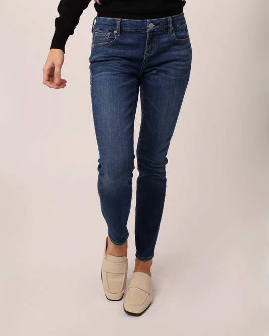 Joyrich Skinny Jean in Mullholand | Dear John