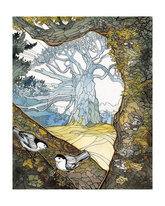 Secret Window Card