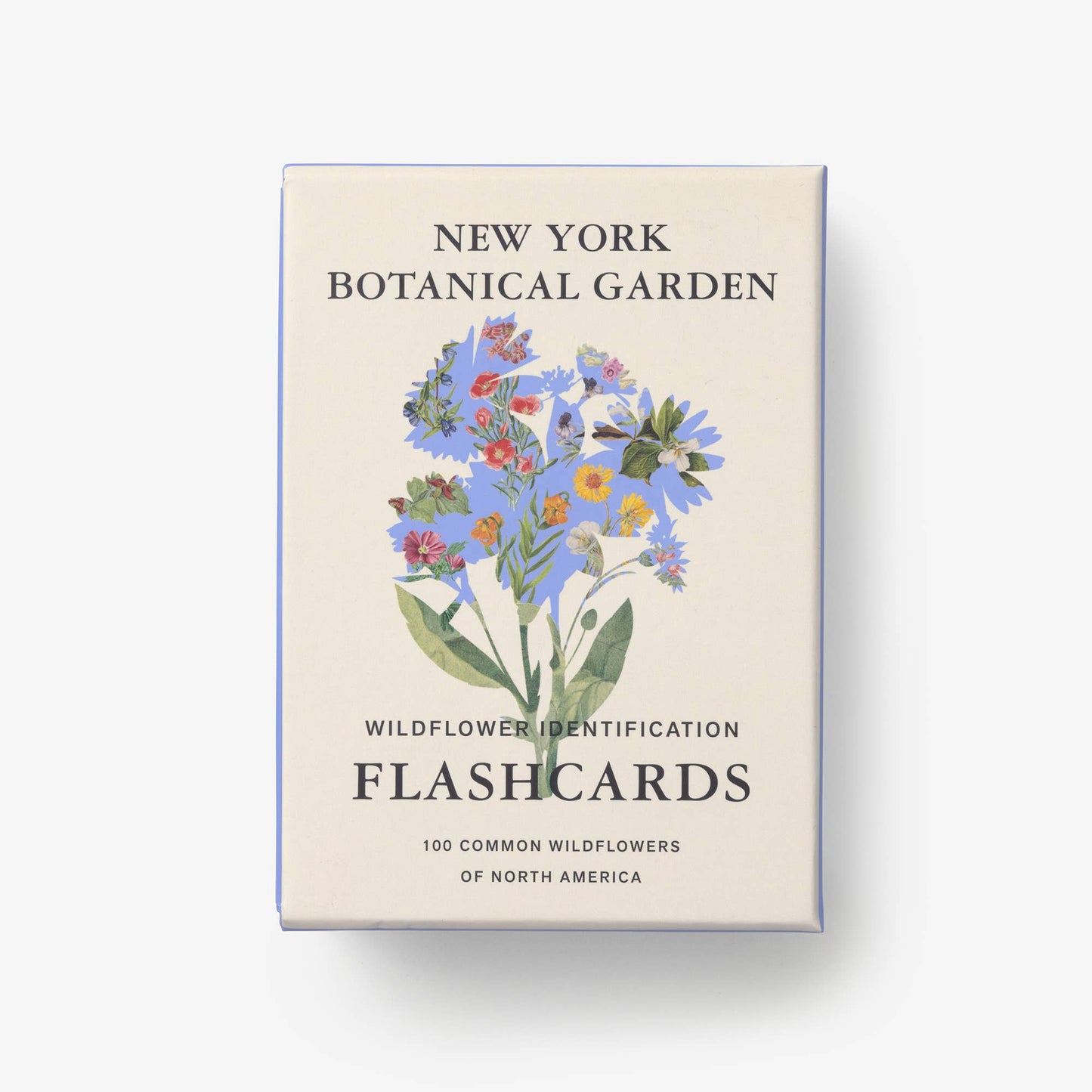 New York Botanical Wildflower Flashcards