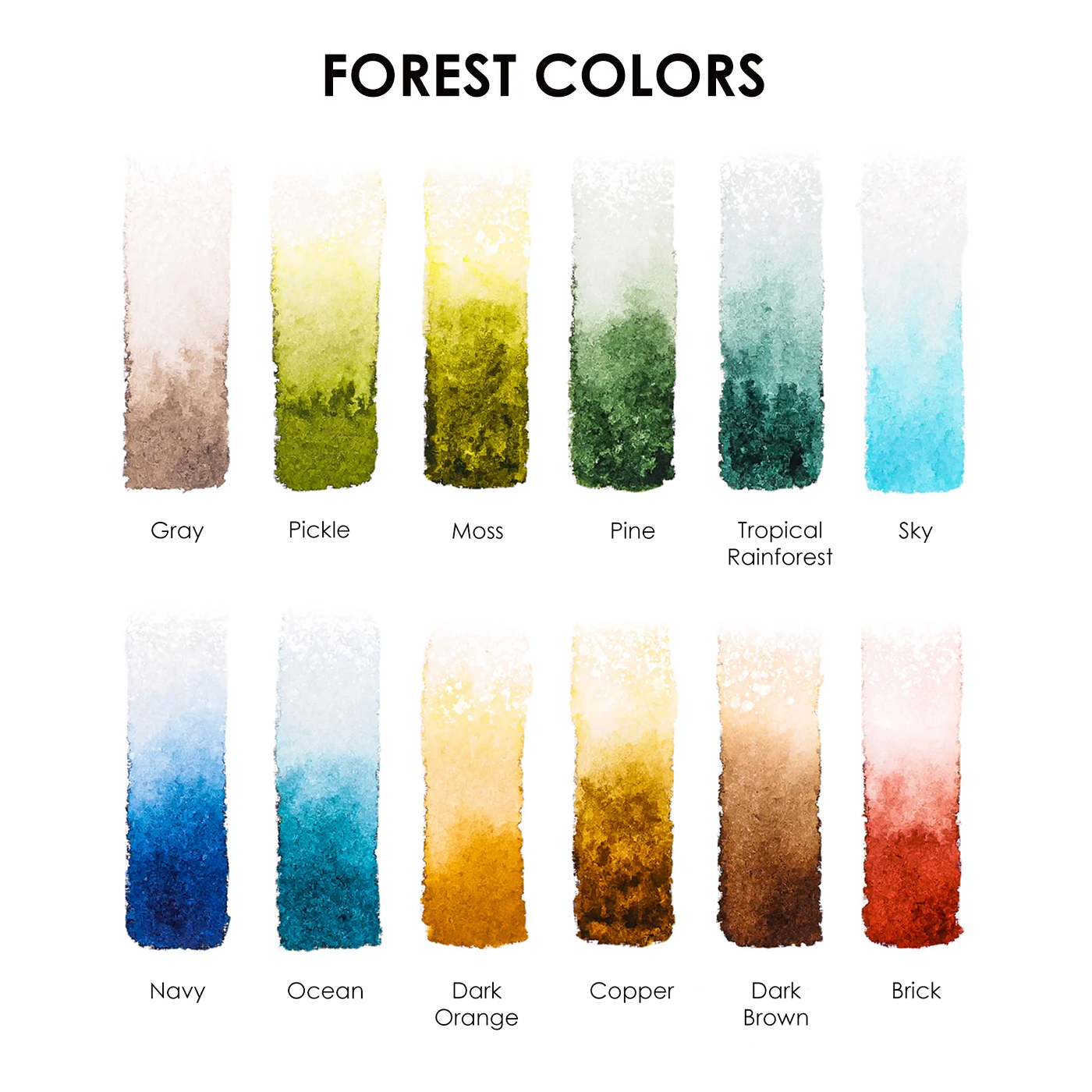 Forest Pocket Watercolor Set