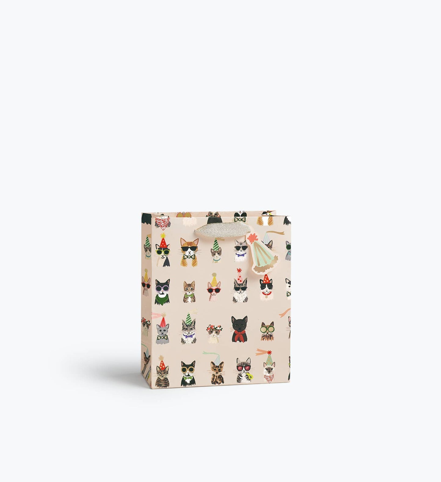 Party Cats Medium Gift Bag