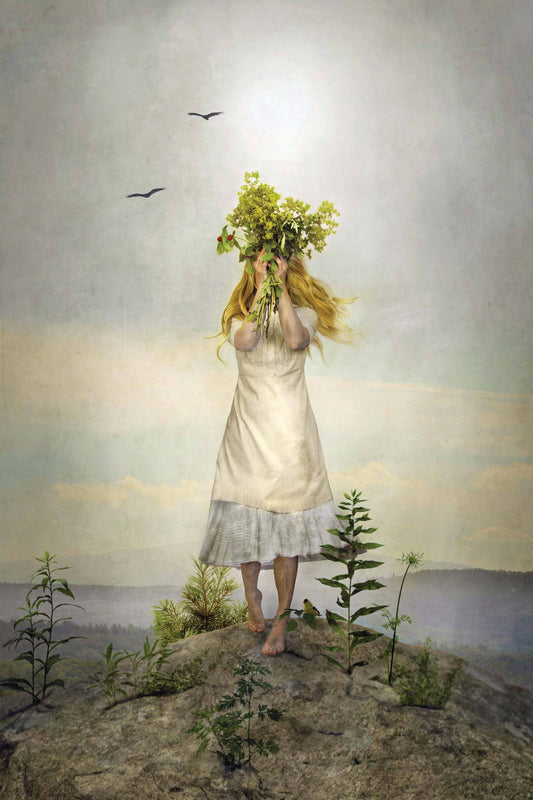 The Herbalist Greeting Card