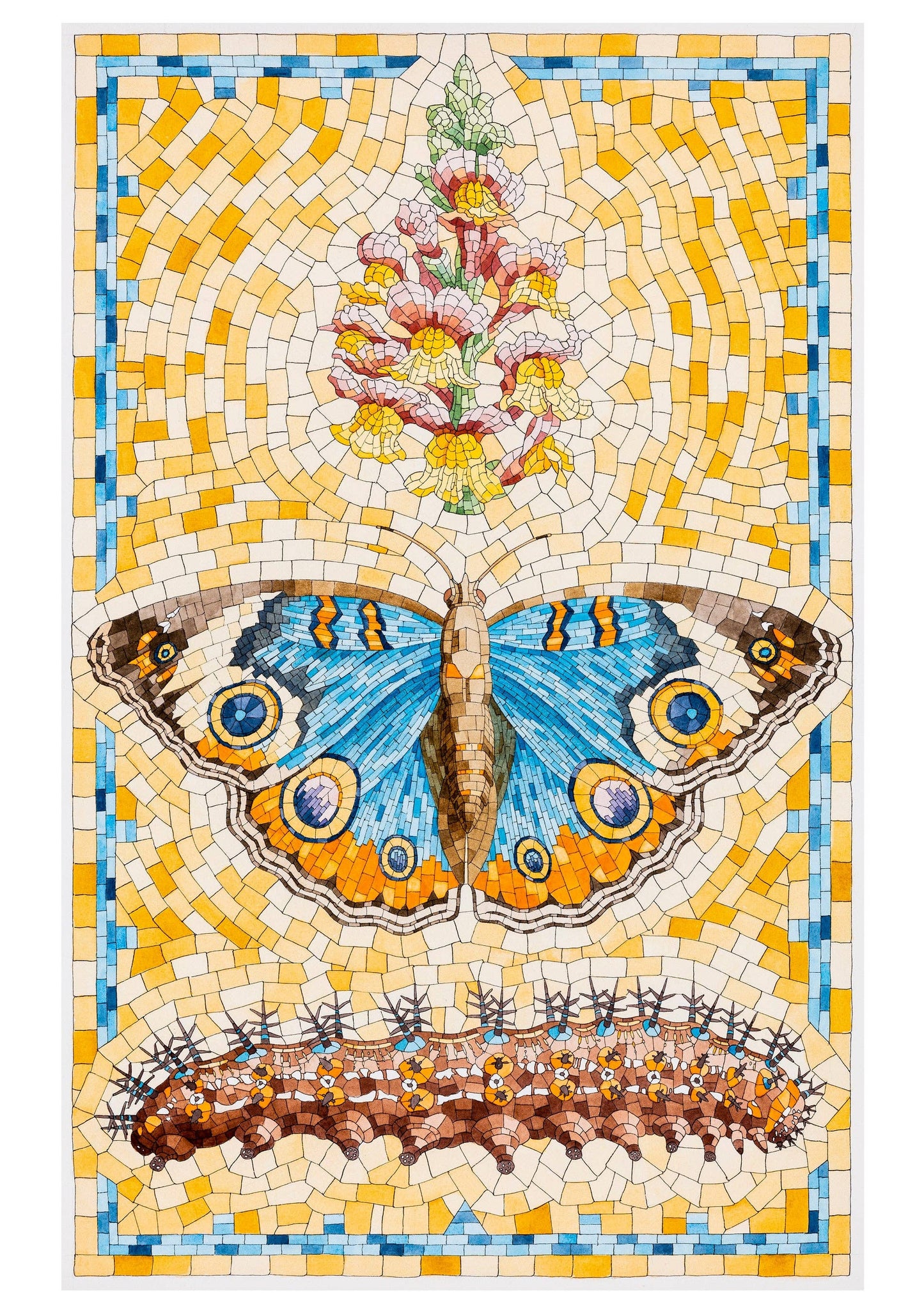 David Cohen: Butterflies Boxed Cards