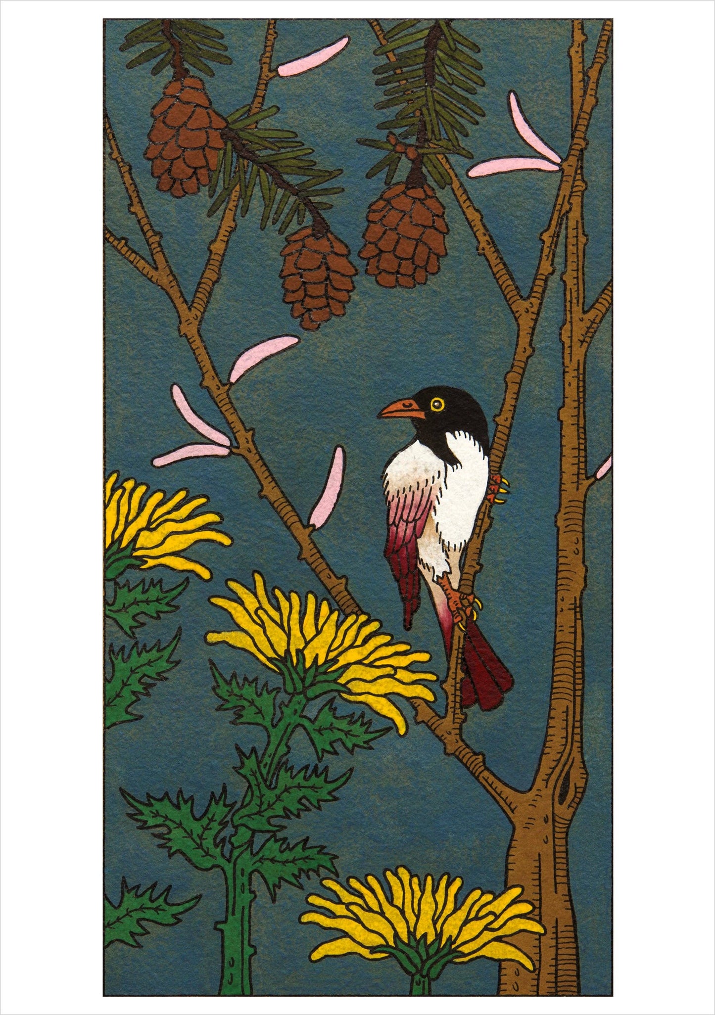 CJ Hurley: Birds Boxed Cards