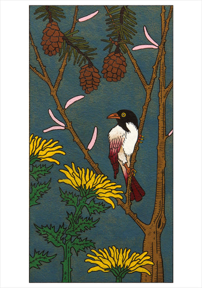 CJ Hurley: Birds Boxed Cards