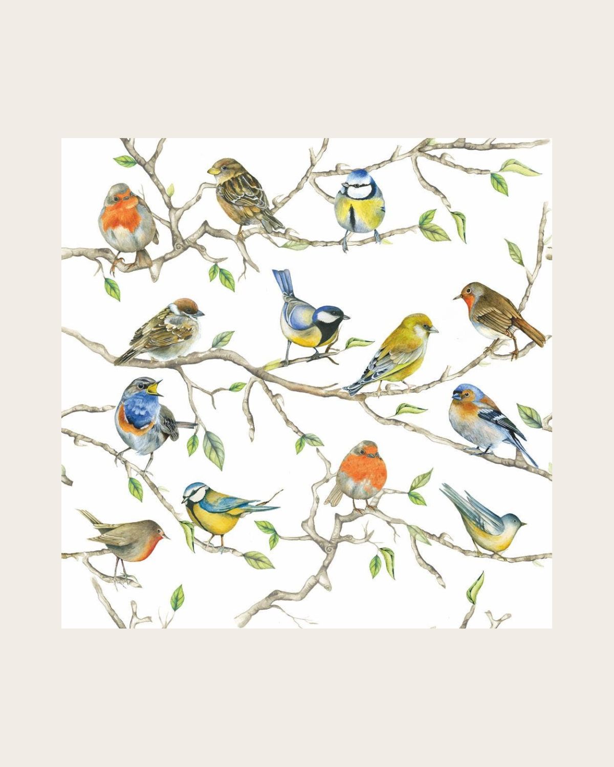 A Bird Meeting Beverage Napkins