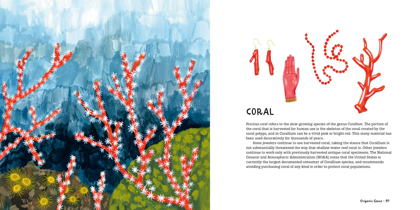 Crystals, Rocks, and Gemstones Book