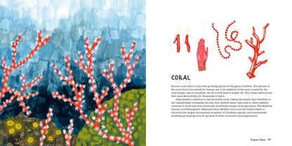 Crystals, Rocks, and Gemstones Book