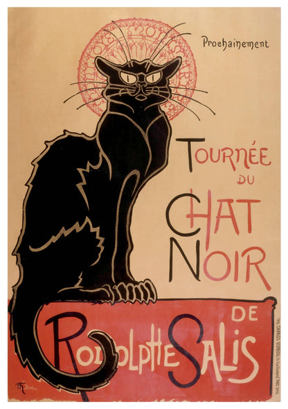 Black Cats Boxed Cards
