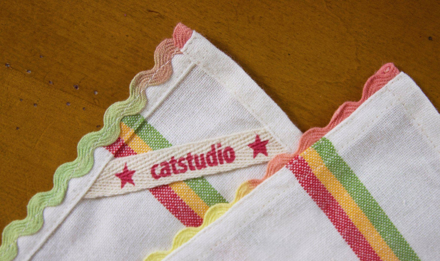 Colorado Dish Towel