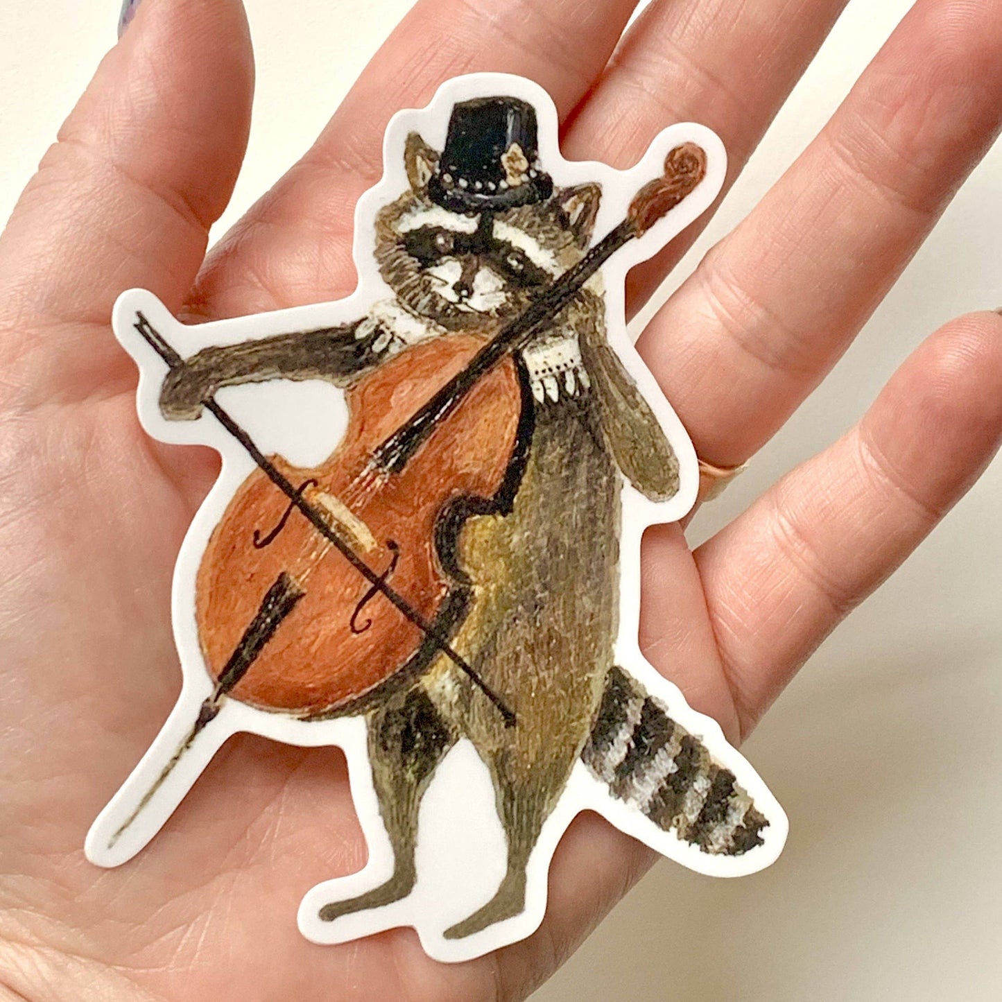 Raccoon Cellist Sticker