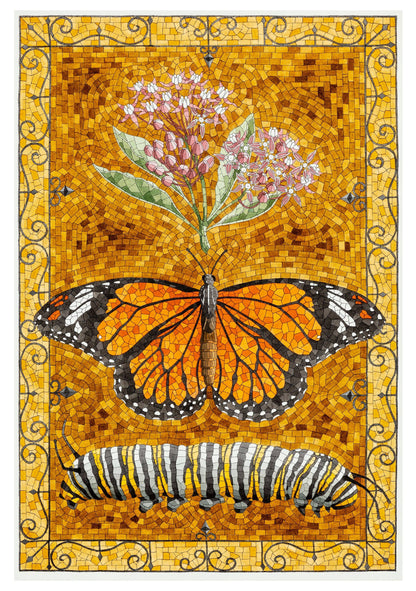 David Cohen: Butterflies Boxed Cards