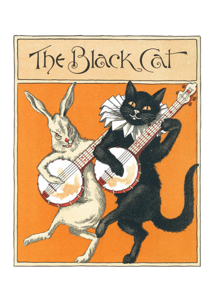Black Cats Boxed Cards