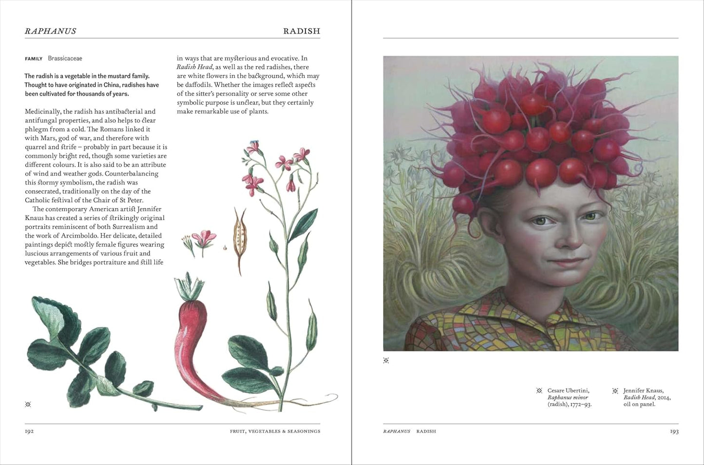 Flora Art Book