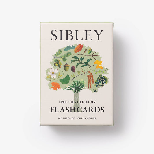 Sibley Tree Identification Flashcards