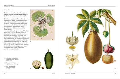 Flora Art Book