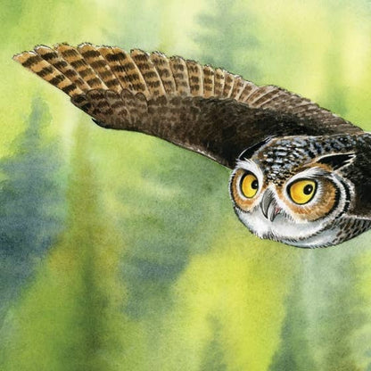 If I Were A Bird Book