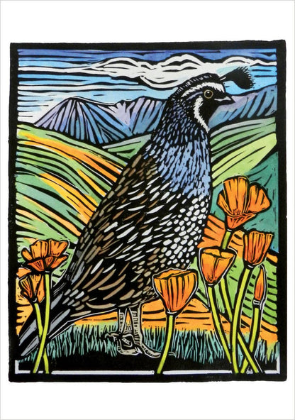 Molly Hashimoto: Birds Boxed Cards