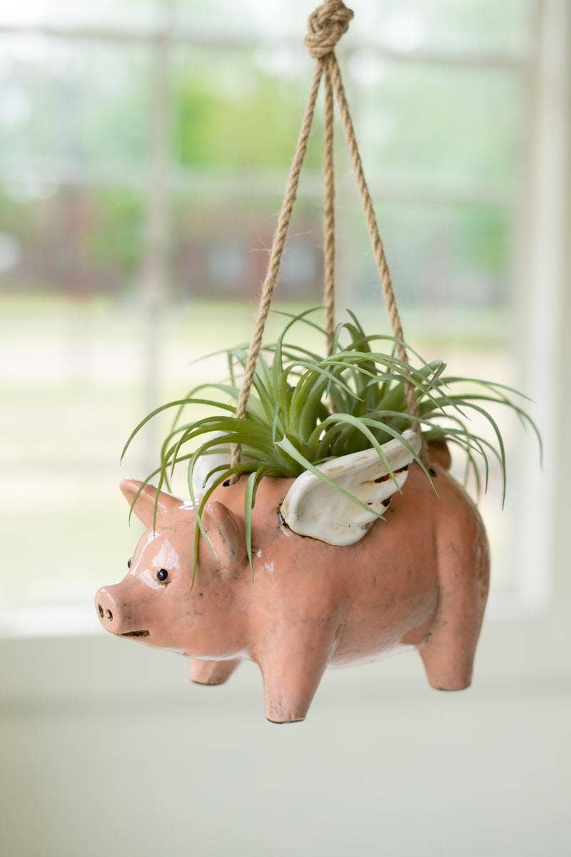 Flying Pig Planter