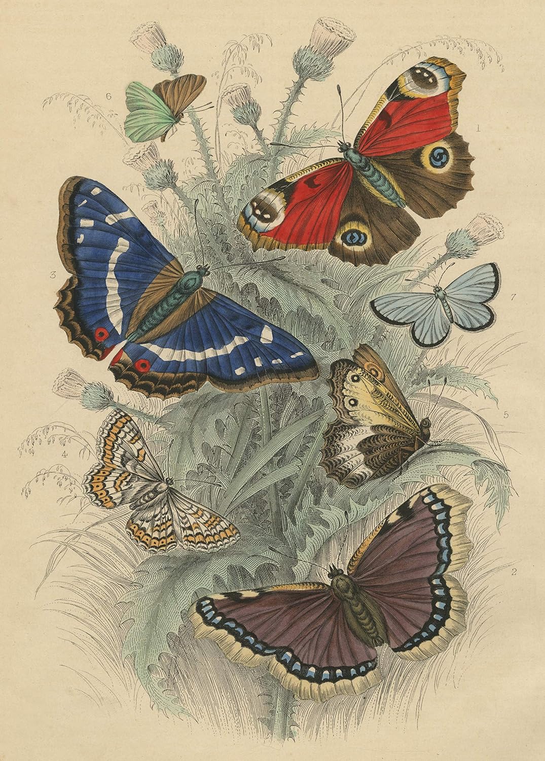 Dancing Butterflies 750-Piece Puzzle