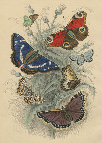 Dancing Butterflies 750-Piece Puzzle