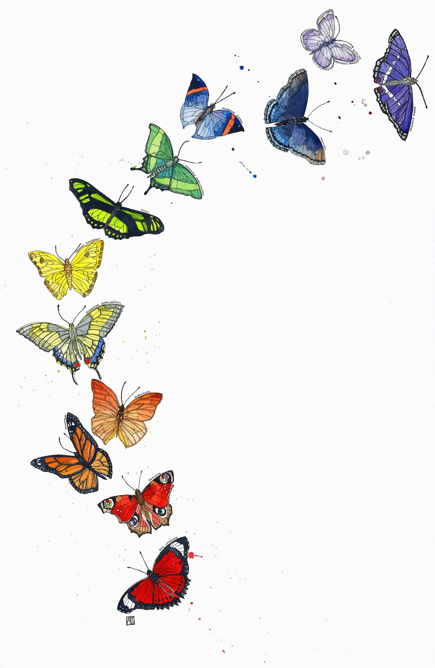 Metamorphosis Card