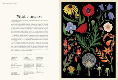 Botanicum: Welcome to the Museum Book