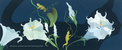 In the Night Garden Book