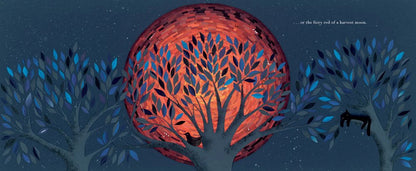 In the Night Garden Book