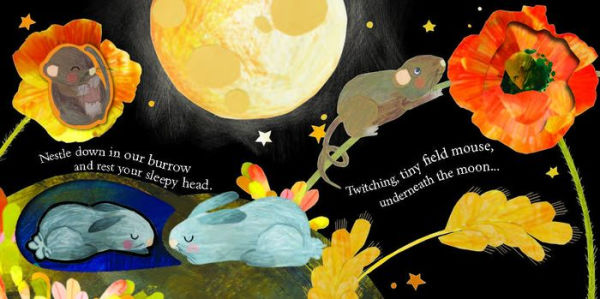 Owl Always Love You Book