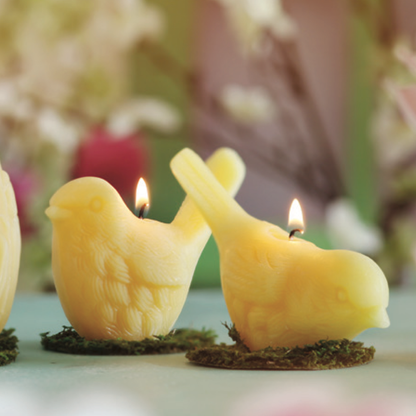 Pecking Song Bird Candle