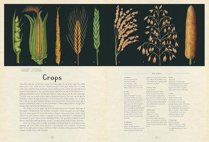 Botanicum: Welcome to the Museum Book
