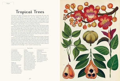 Botanicum: Welcome to the Museum Book