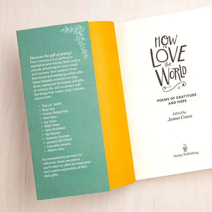 How to Love the World Poetry Book