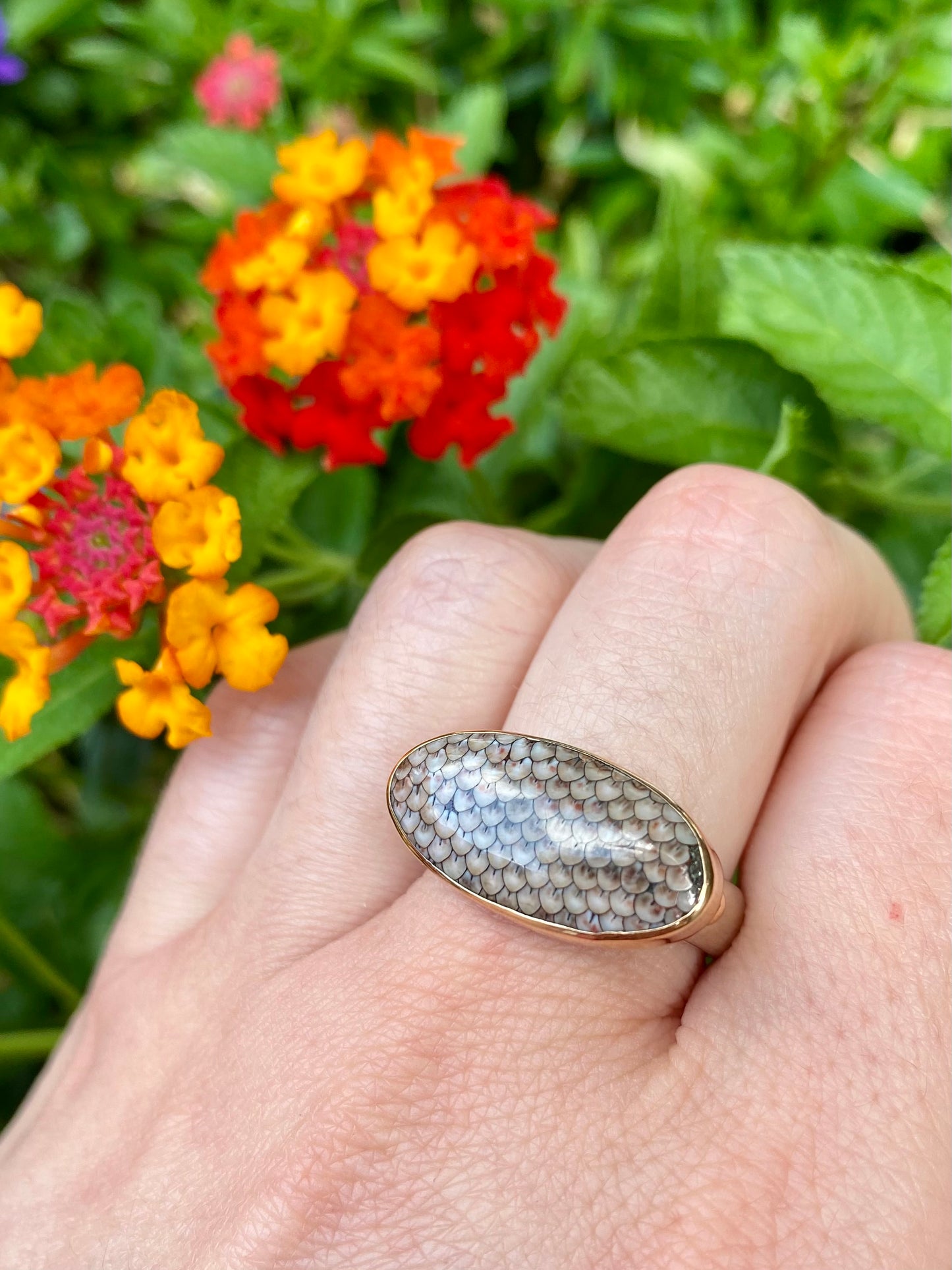 Snakeskin Agate Ring