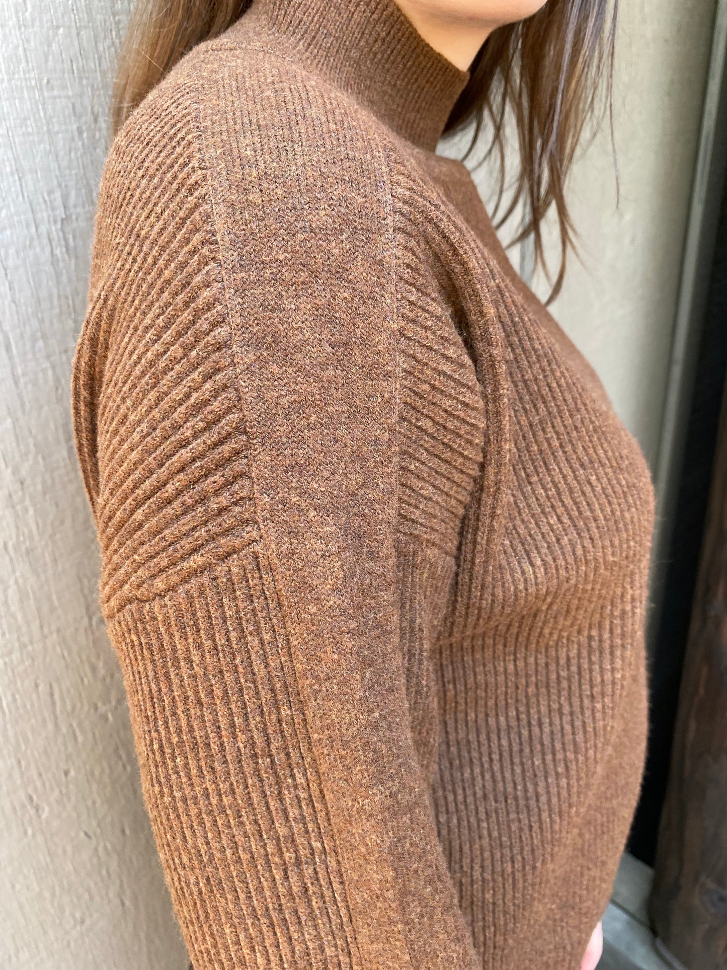 Sparta Mockneck Sweater in Pinecone