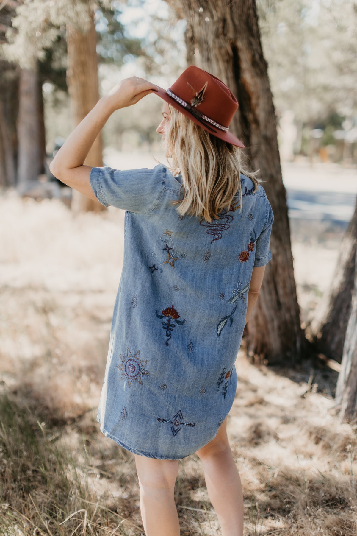 Deja Denim Dress | Caite
