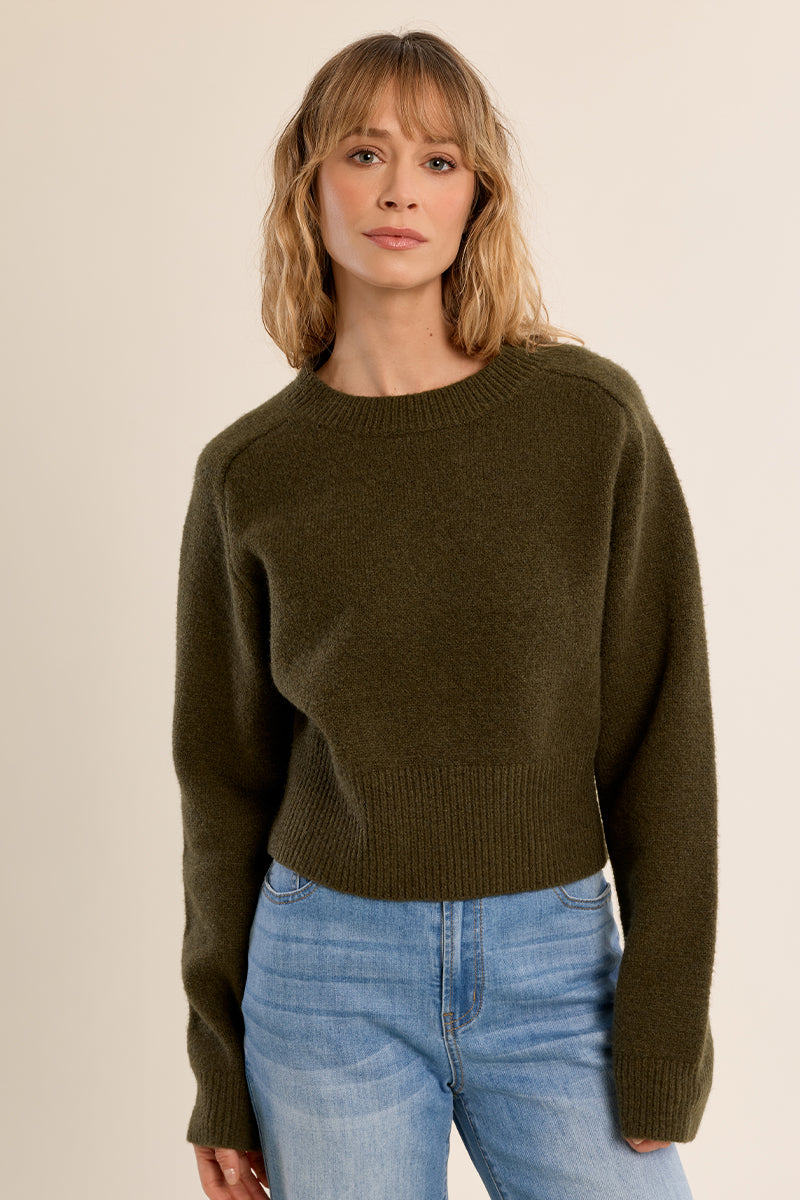 Cozy Crew Neck Sweater in Dark Olive