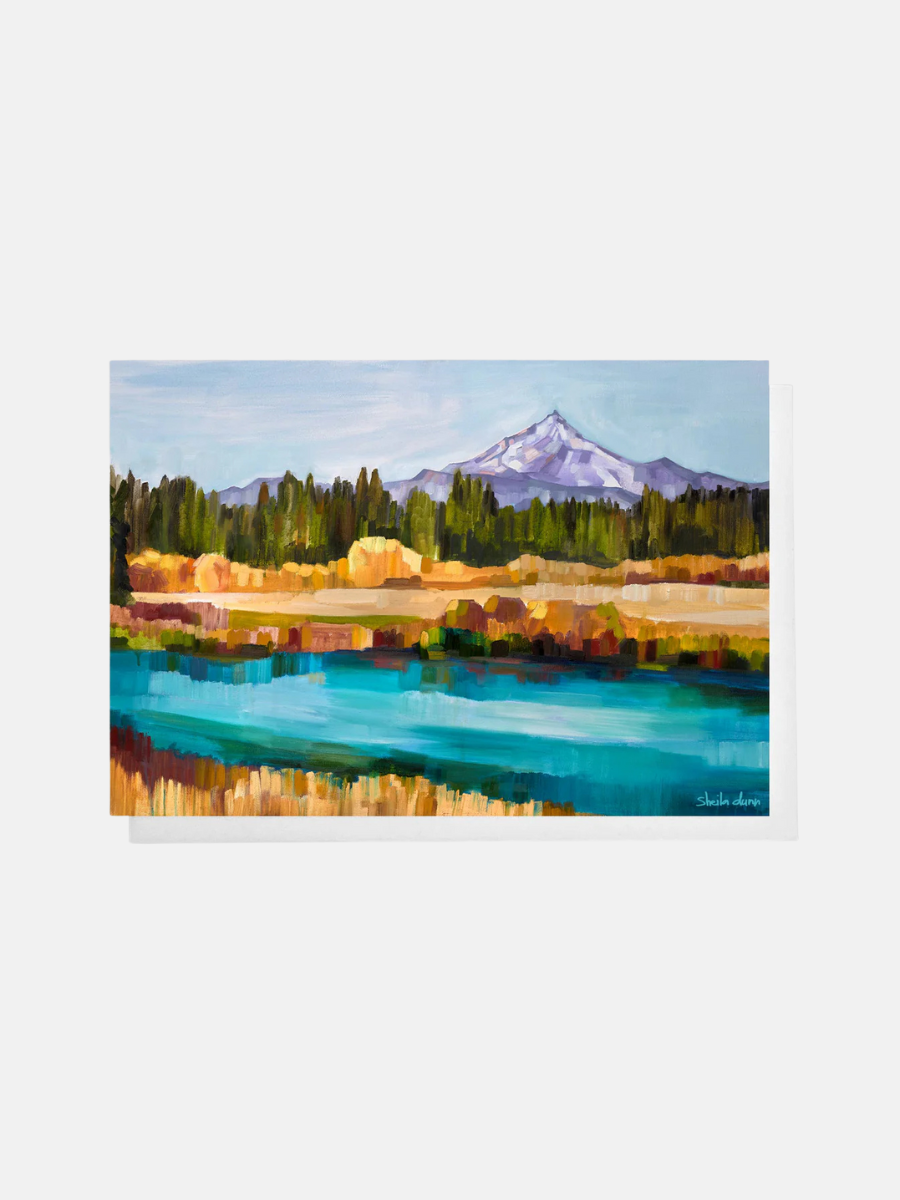 The Metolius Card
