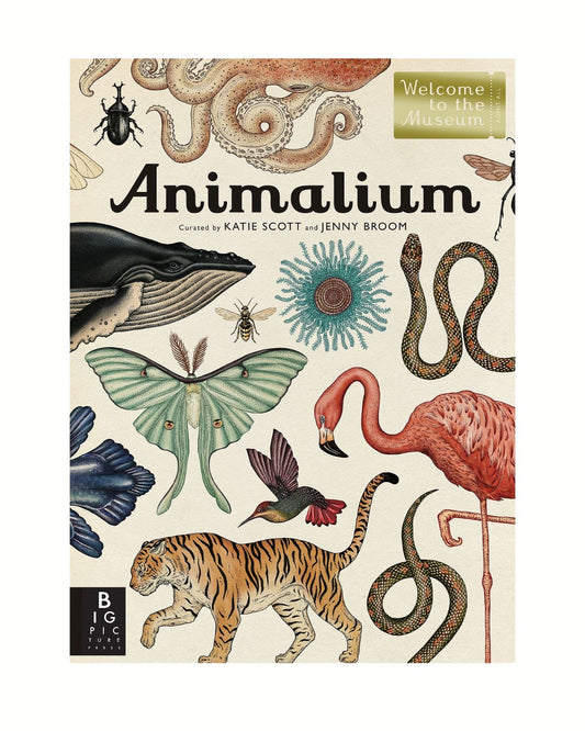 Animalium: Welcome to the Museum Book