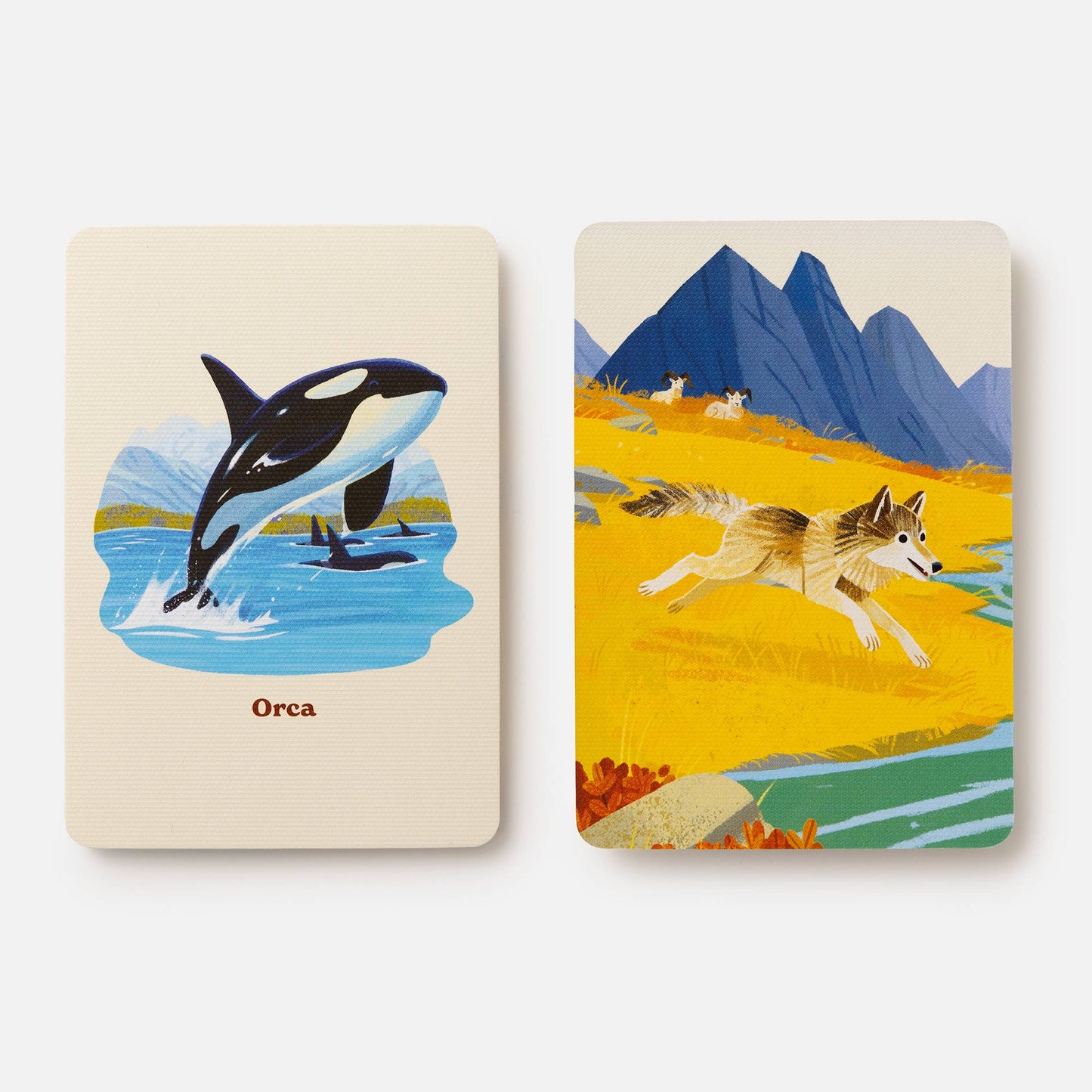 Animals of the National Parks Memory Game
