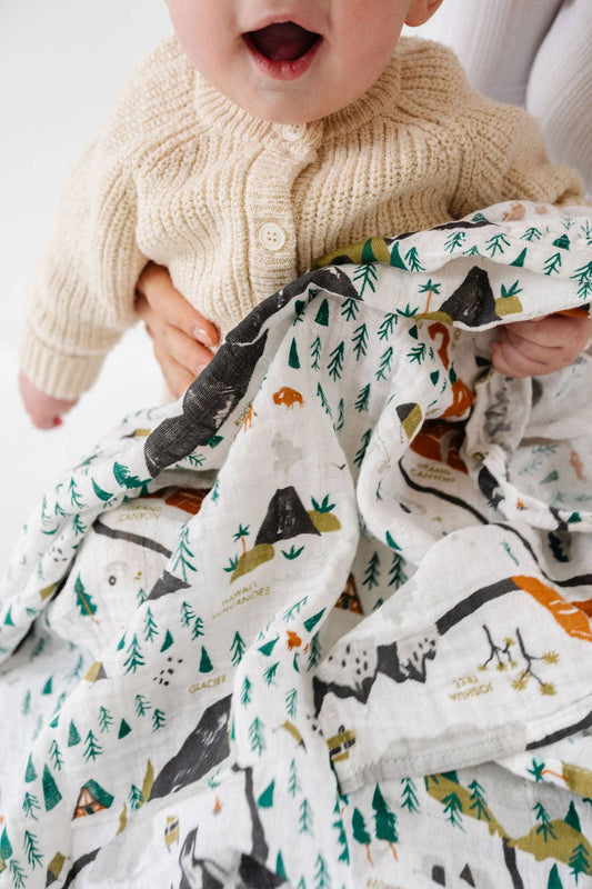 National Parks Swaddle