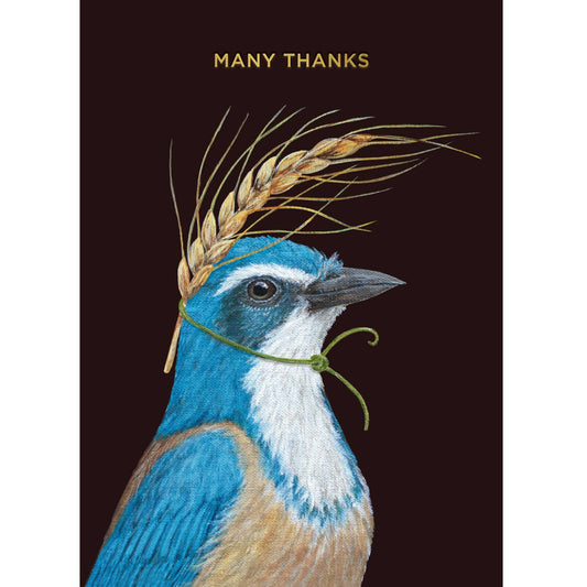 Many Thanks Scrub Jay Card